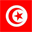 tunisiapromo.com-logo