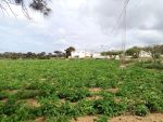 Une ferme à Dar Allouch côté plage