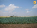 Av 6 hectares agricoles à El MIDA