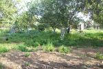 Terrain arborisé pour villa entre Hammamet et Birbouragba