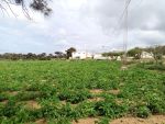 Une ferme à dar allouch côté plage