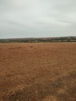 Terrain 14 hectares avec 2 villas inchevés à korba