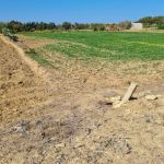 Terrain agricole avec terre fertile a el haouaria