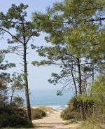 Des superbes terrains vue sur mer à ezzahra