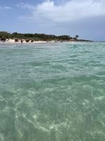 Sentez le bonheur au bord de la mer