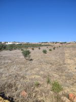 Un terrain à hammem el ghazez