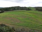 Av terrain de 6 hectares à hammamet