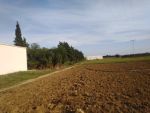 Terrain agricole a kelibia